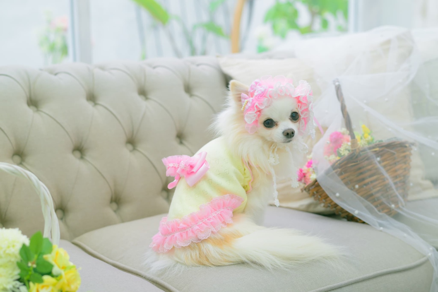 1179ハートメッシュフリルカットソー