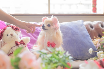 HD-033 ベビくまヘッドドレス