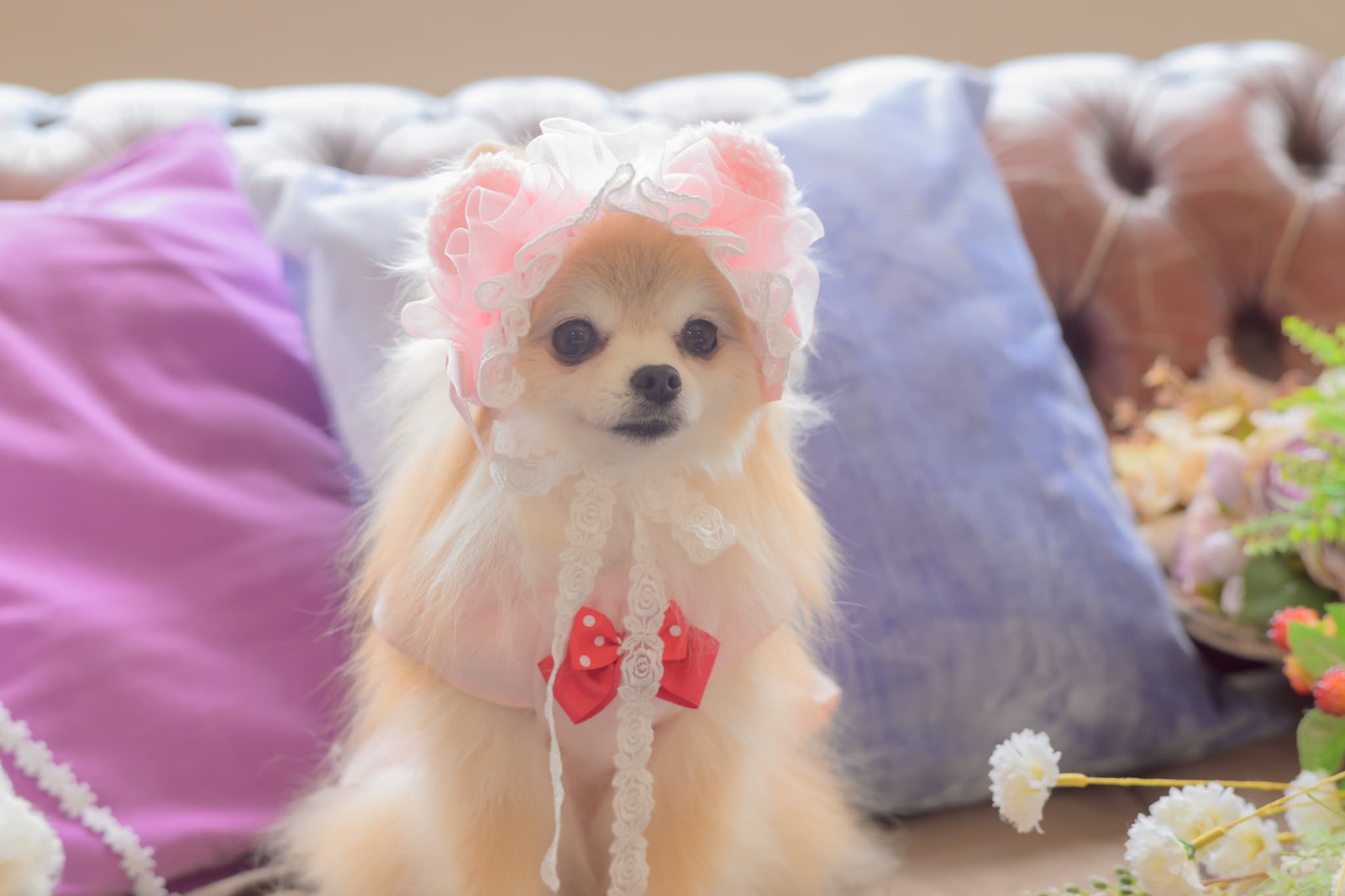 HD-033 ベビくまヘッドドレス