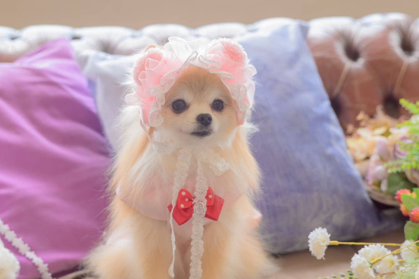 HD-033 ベビくまヘッドドレス