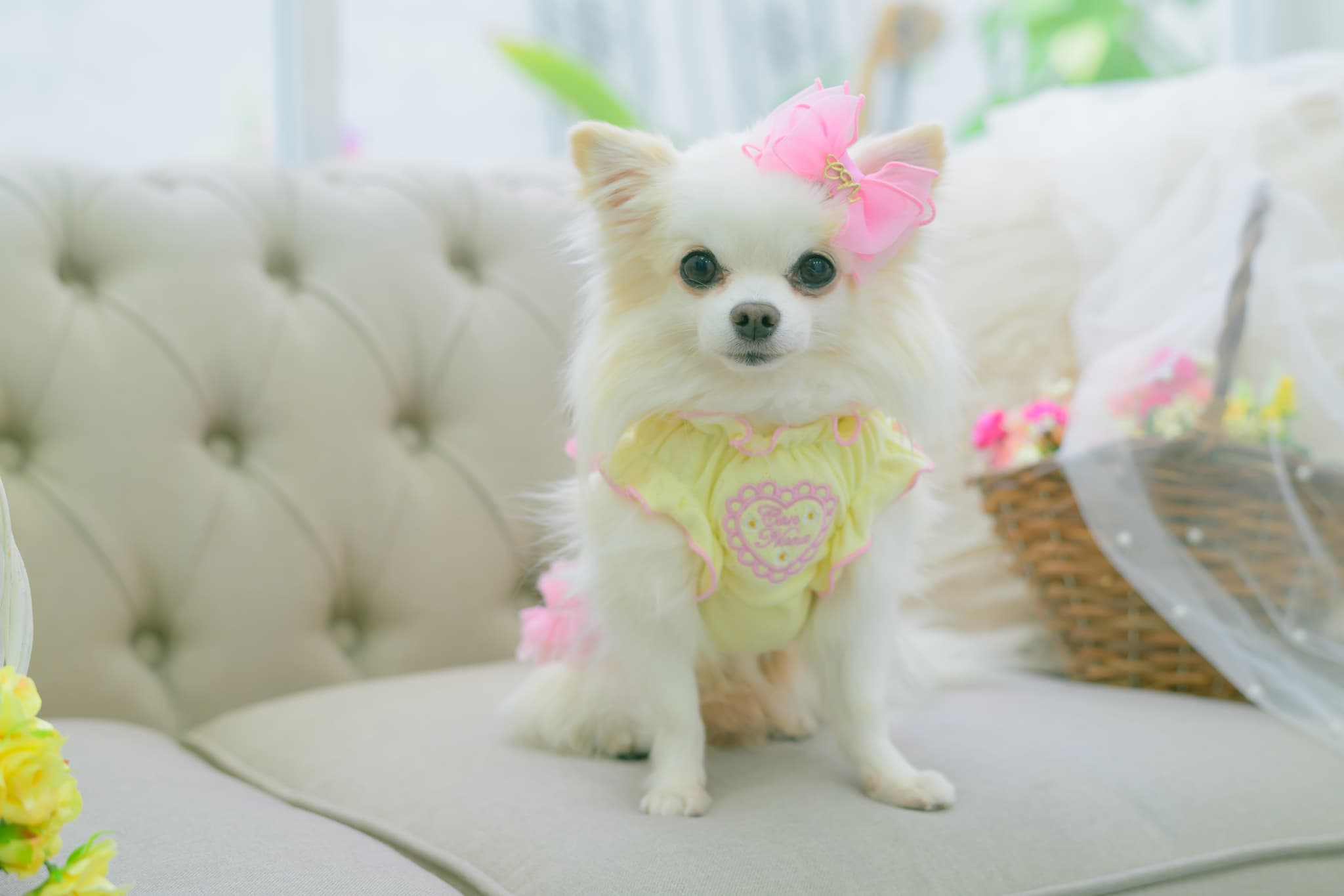 新色【角度一定スタンド式】CanNanaロゴ＆ハートリボンバレッタ