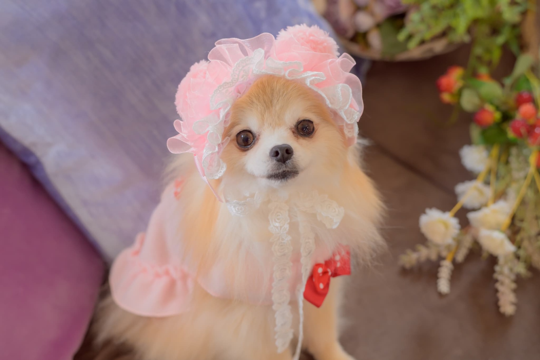 HD-033 ベビくまヘッドドレス