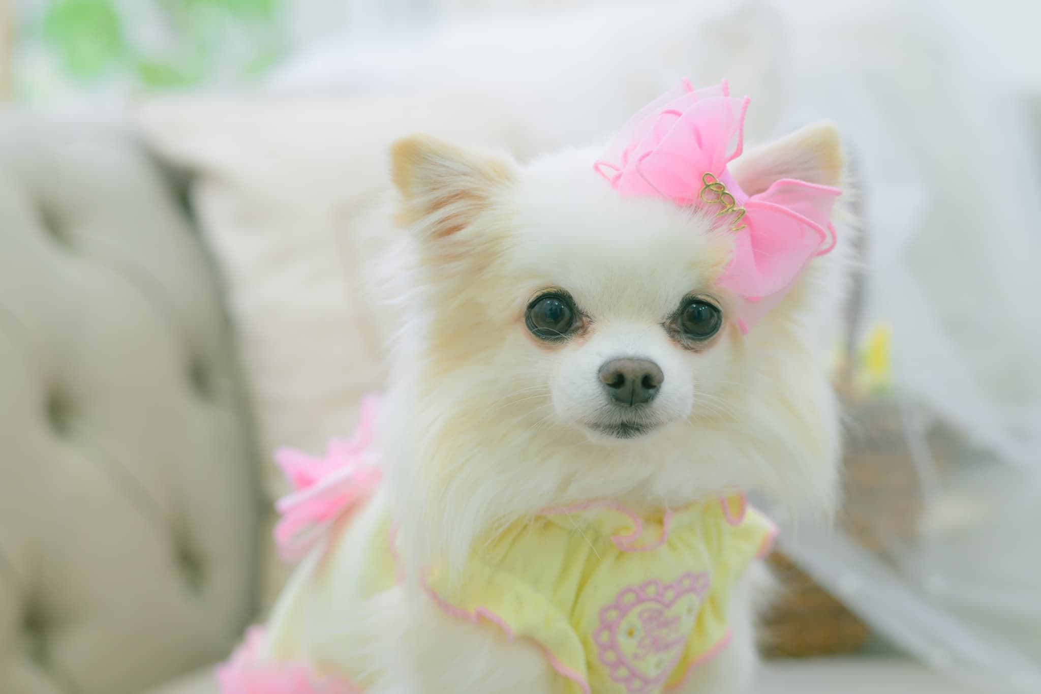 新色【角度一定スタンド式】CanNanaロゴ＆ハートリボンバレッタ