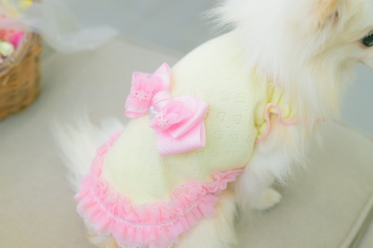 1179ハートメッシュフリルカットソー