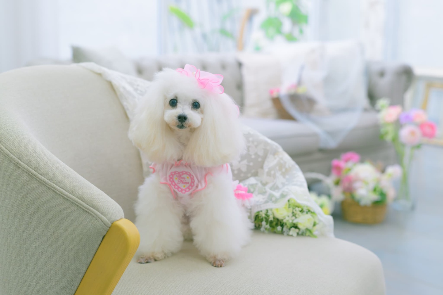 1179ハートメッシュフリルカットソー