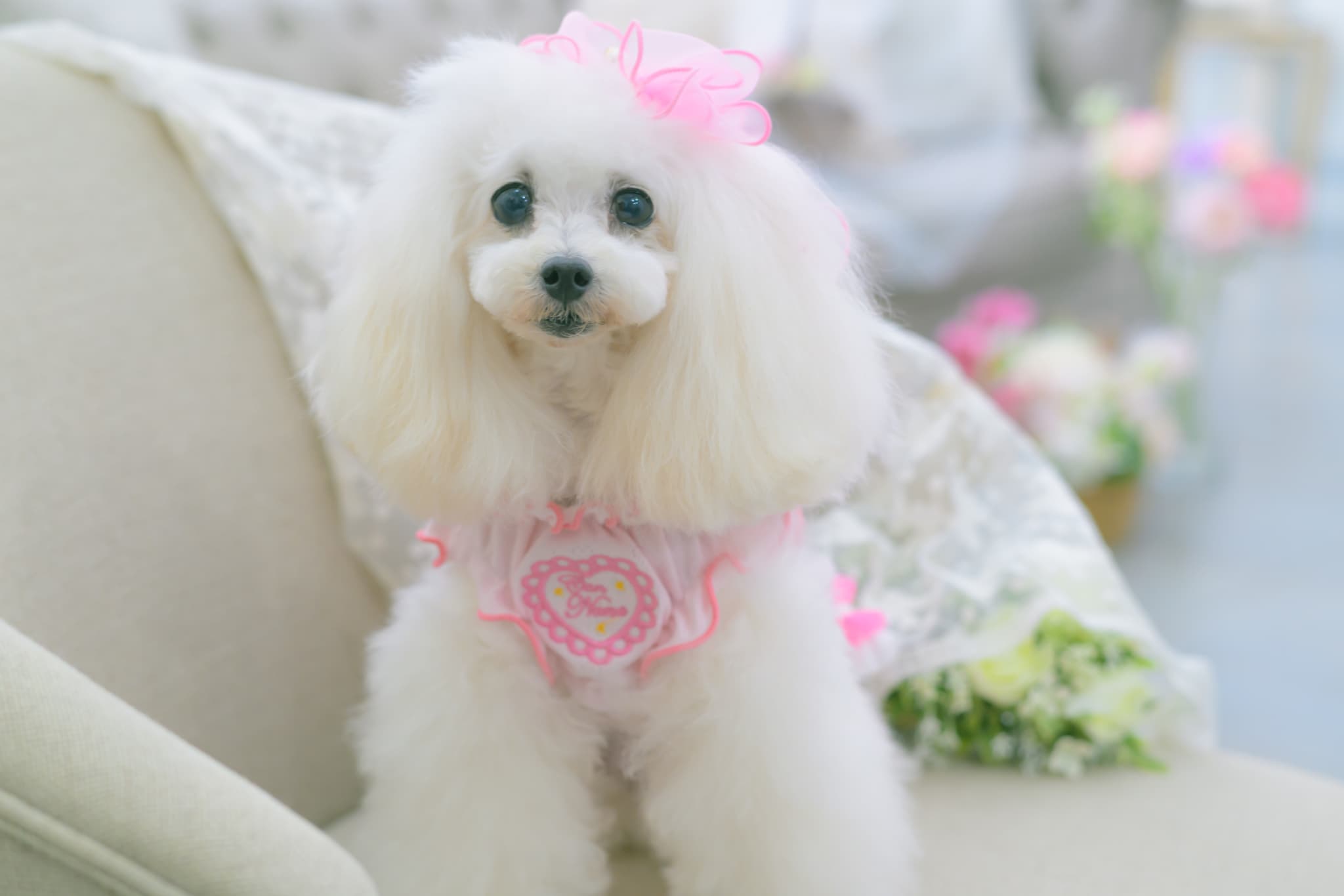 1179ハートメッシュフリルカットソー