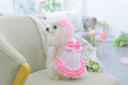 1179ハートメッシュフリルカットソー