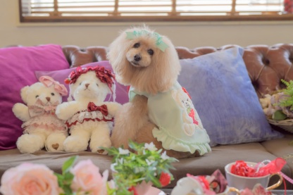 1171くまいちごフリースワンピース