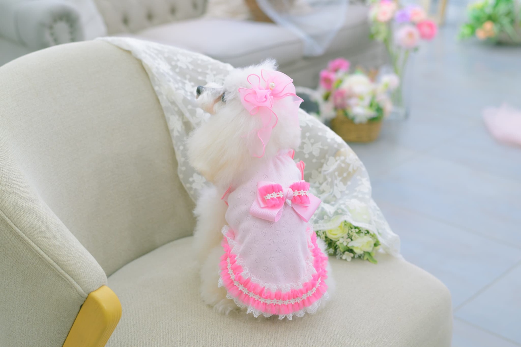 1179ハートメッシュフリルカットソー