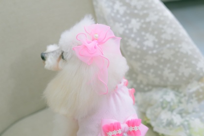 新色　LB-279オーガンジーフリルバレッタリボン