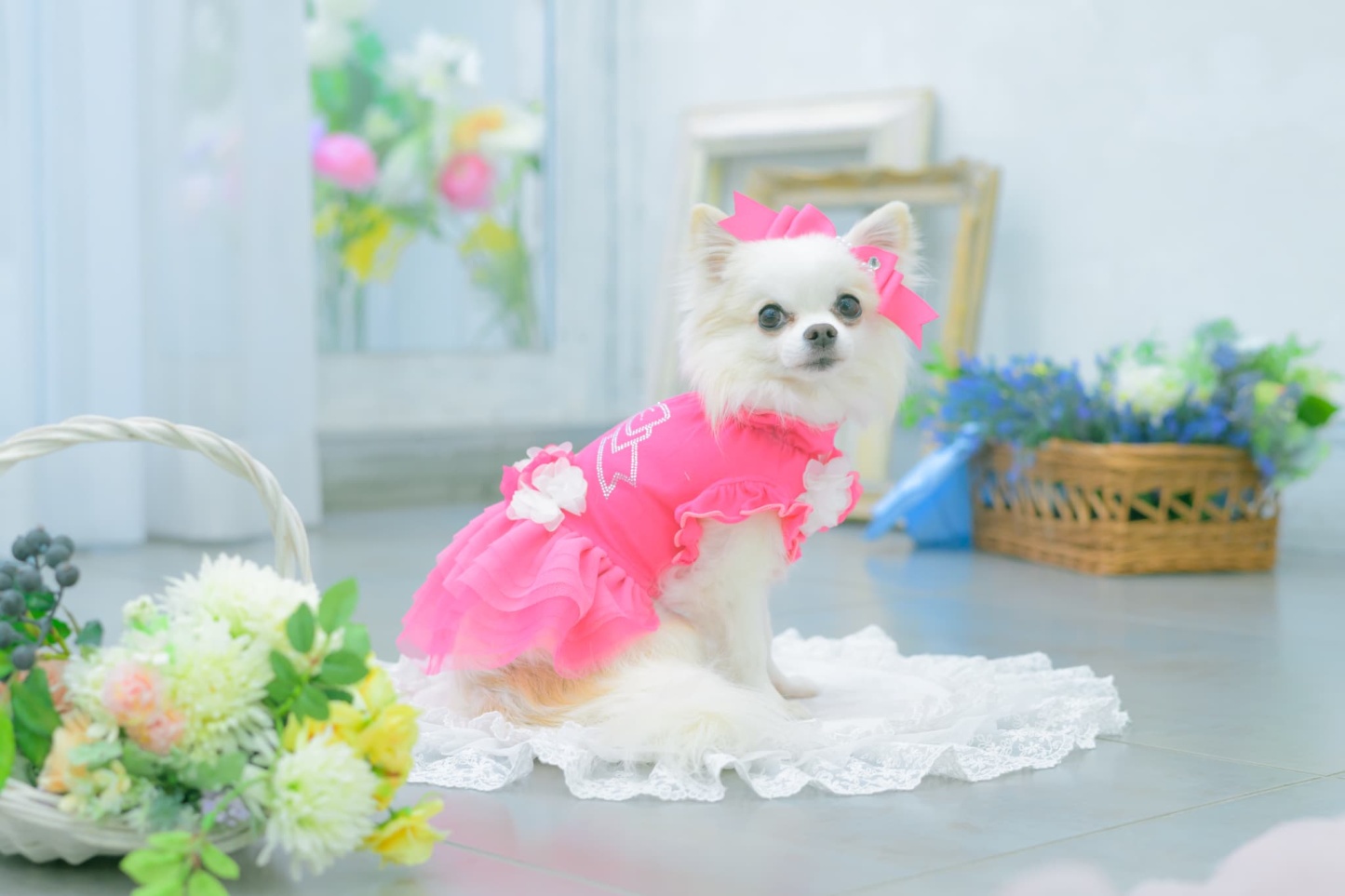 1183チュールバレリーナワンピース