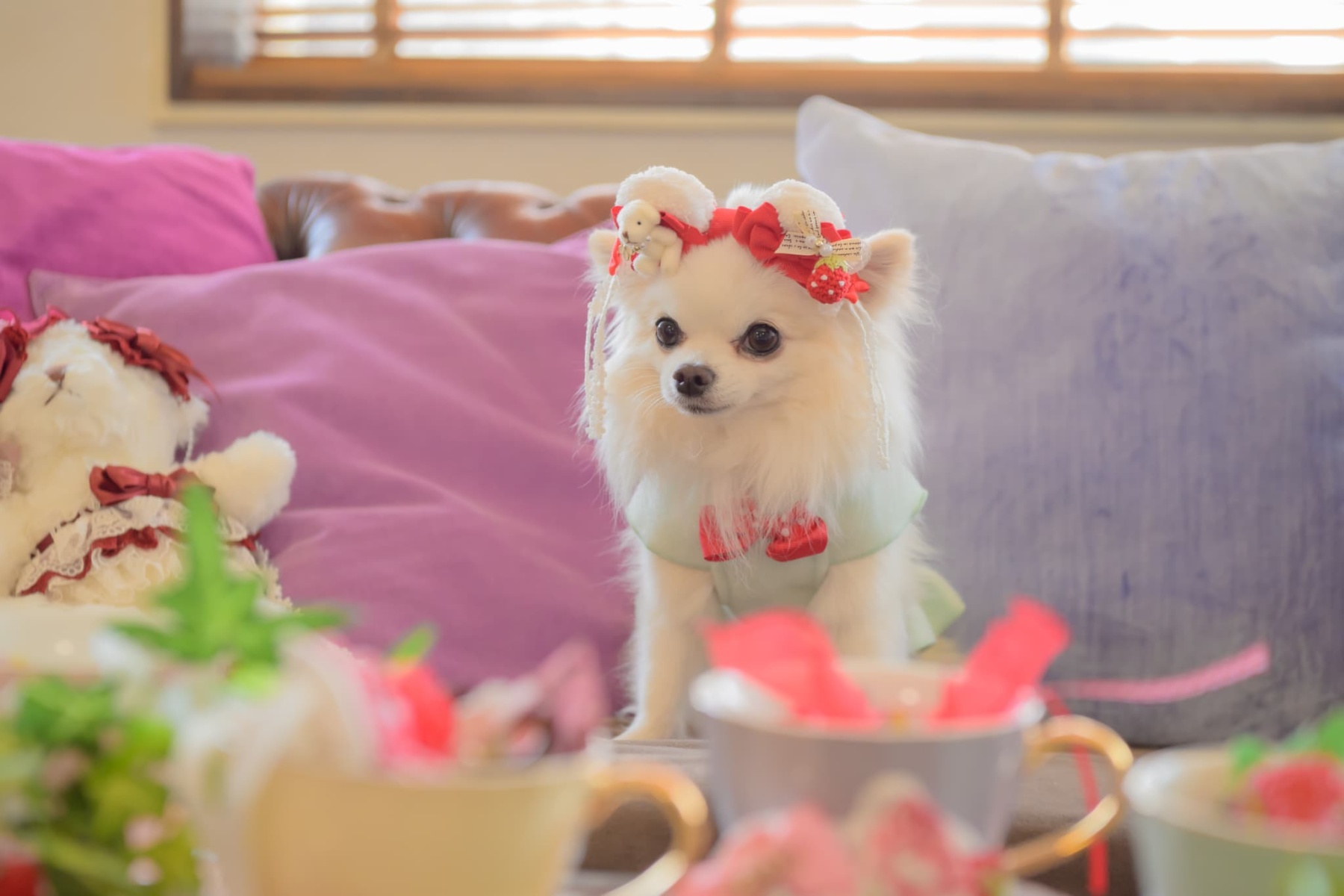 LB-323くまいちごバレッタリボン レッド