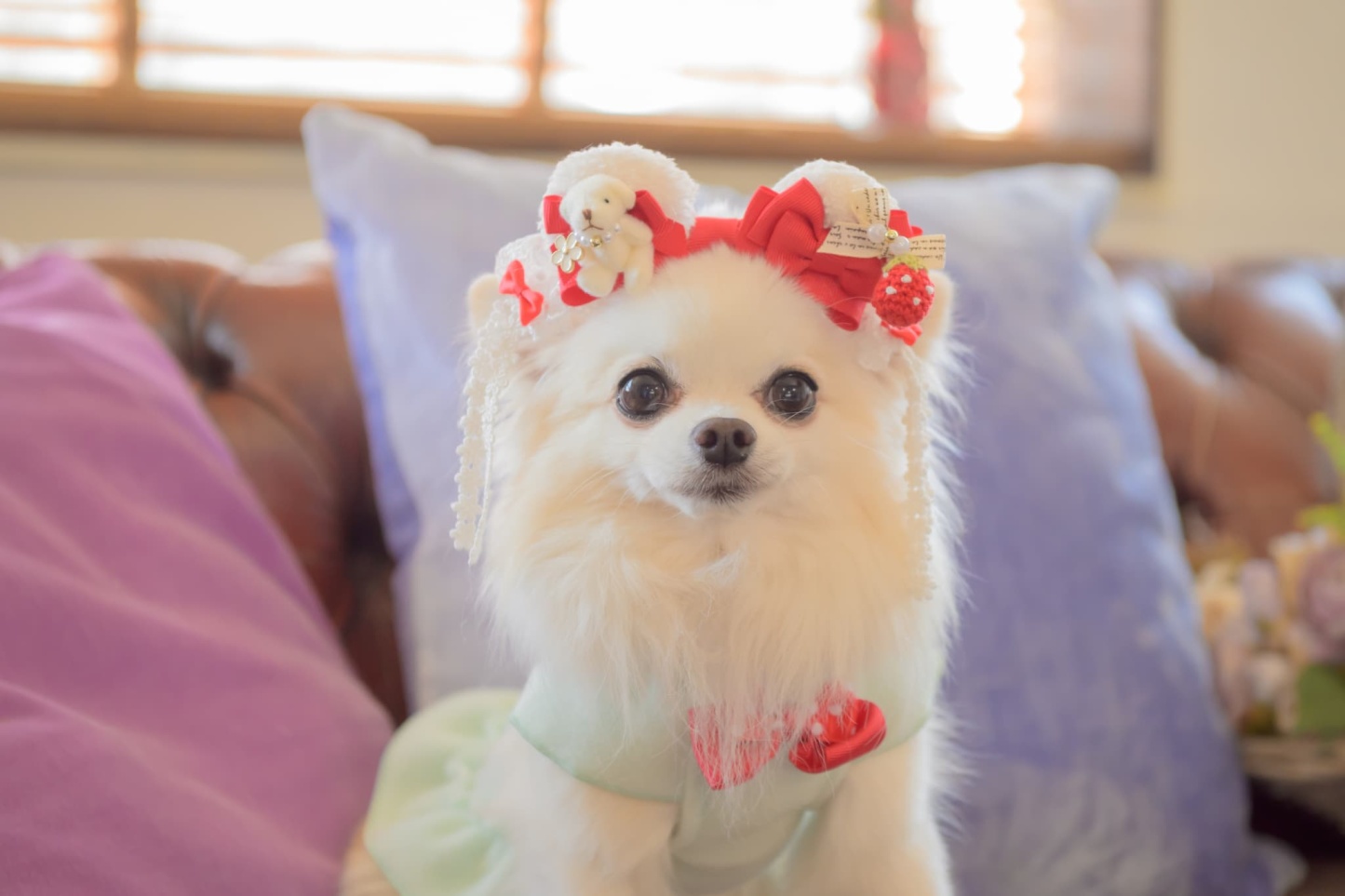 LB-323くまいちごバレッタリボン レッド