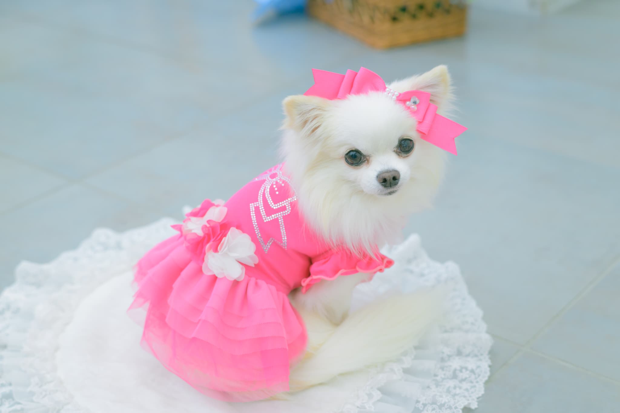 1183チュールバレリーナワンピース