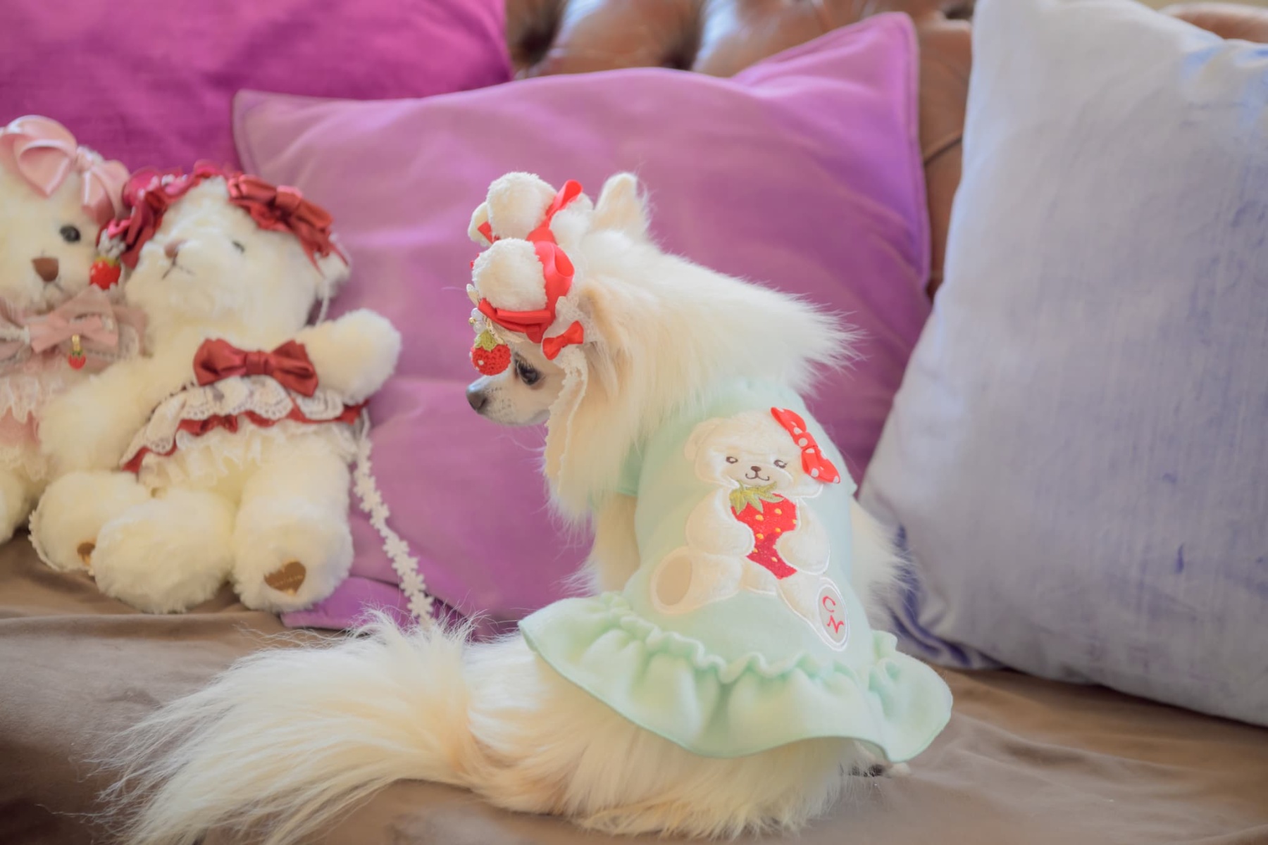 LB-323くまいちごバレッタリボン レッド