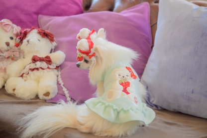 LB-323くまいちごバレッタリボン レッド