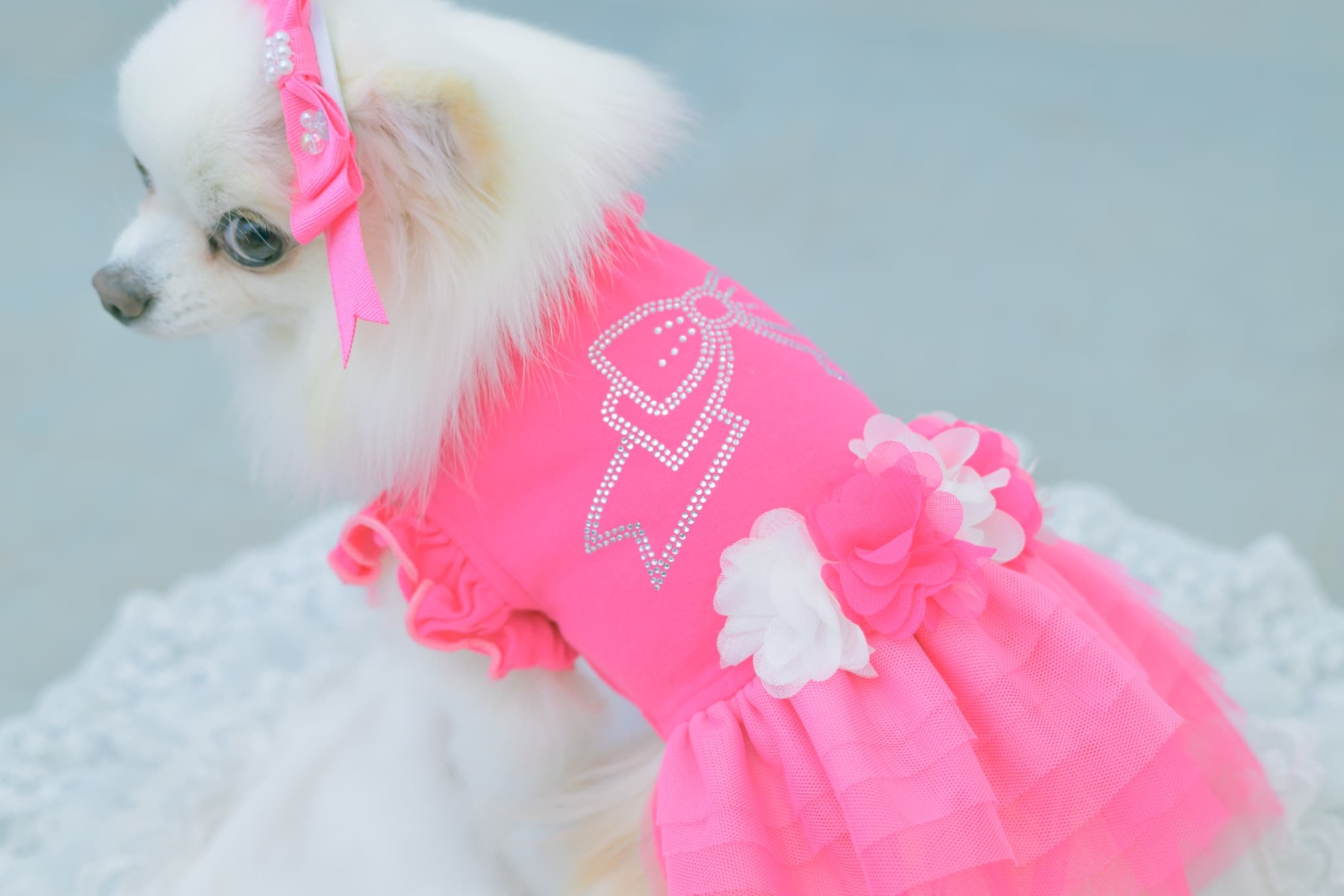 1183チュールバレリーナワンピース