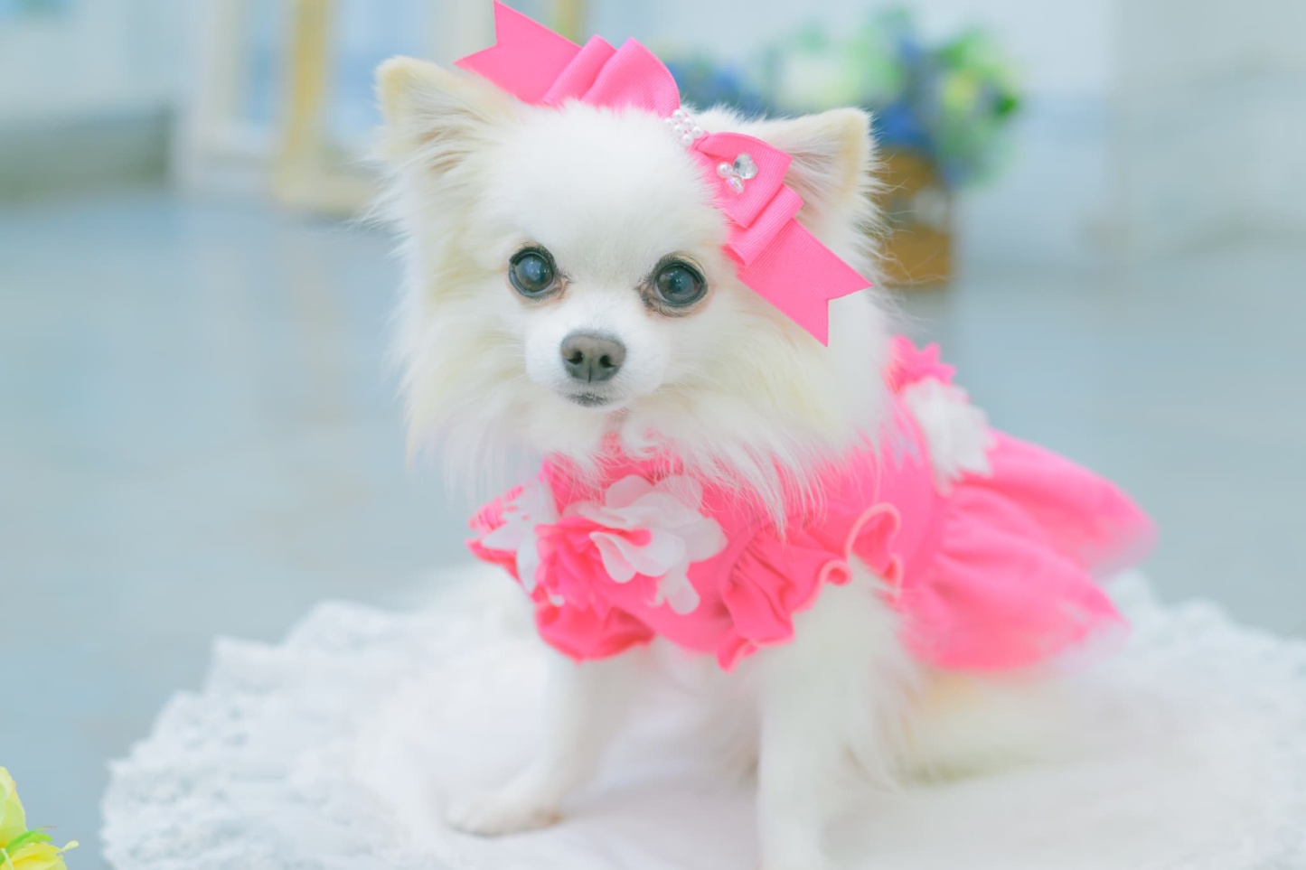 新色【角度一定スタンド式】CanNana姫リボンバレッタ