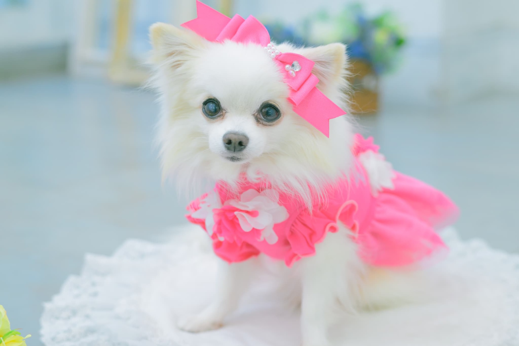 新色【角度一定スタンド式】CanNana姫リボンバレッタ