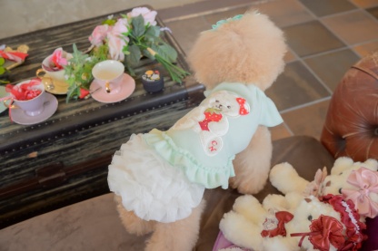 1171くまいちごフリースワンピース