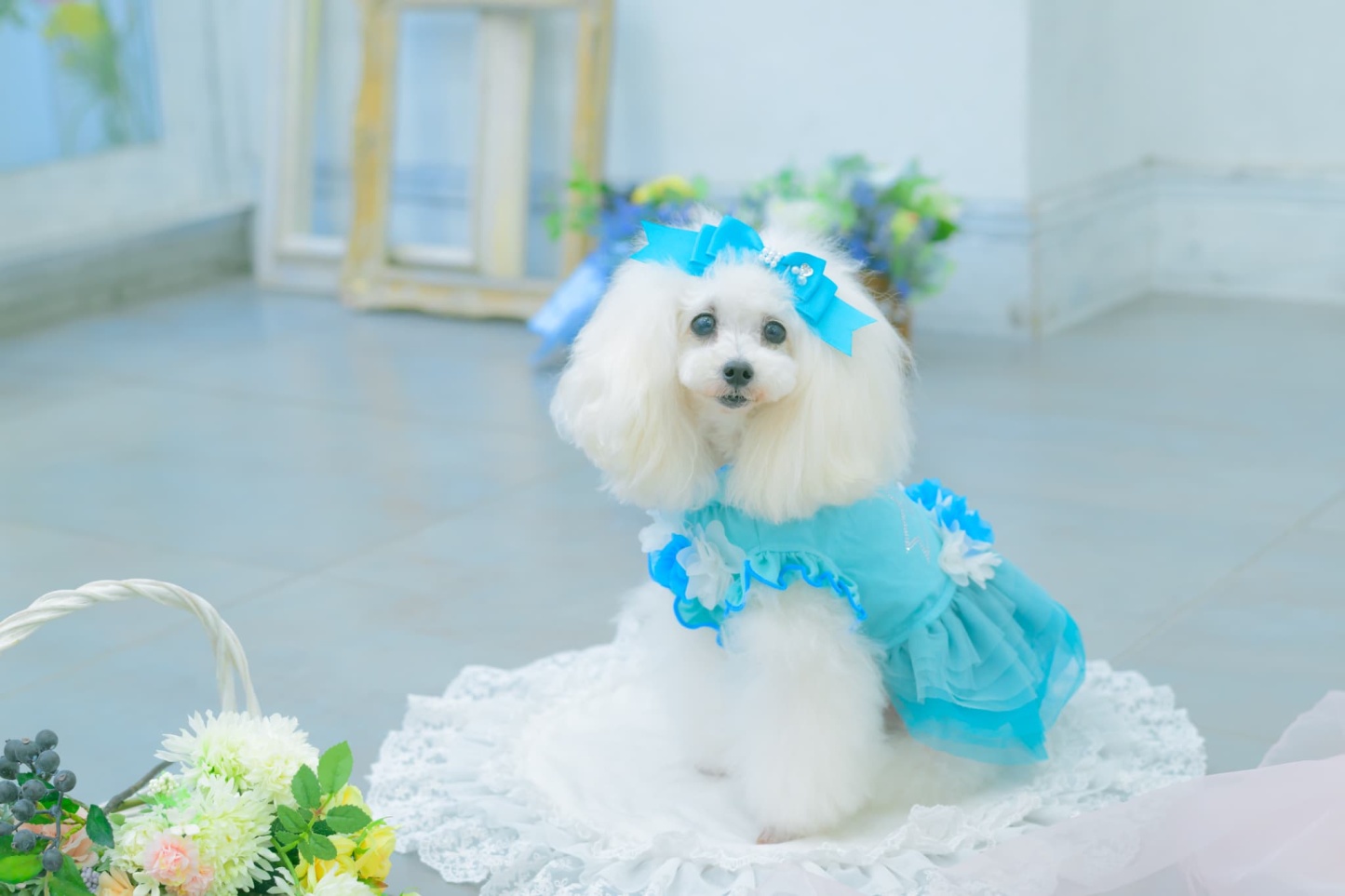 新色【角度一定スタンド式】CanNana姫リボンバレッタ