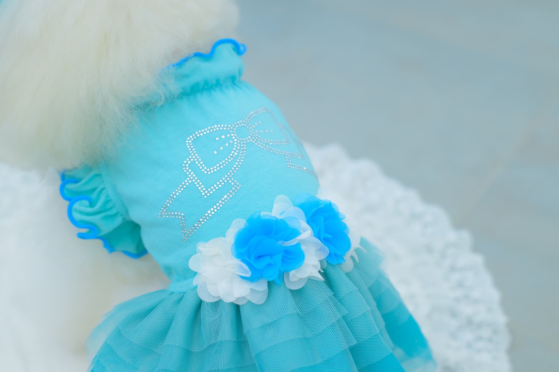 1183チュールバレリーナワンピース