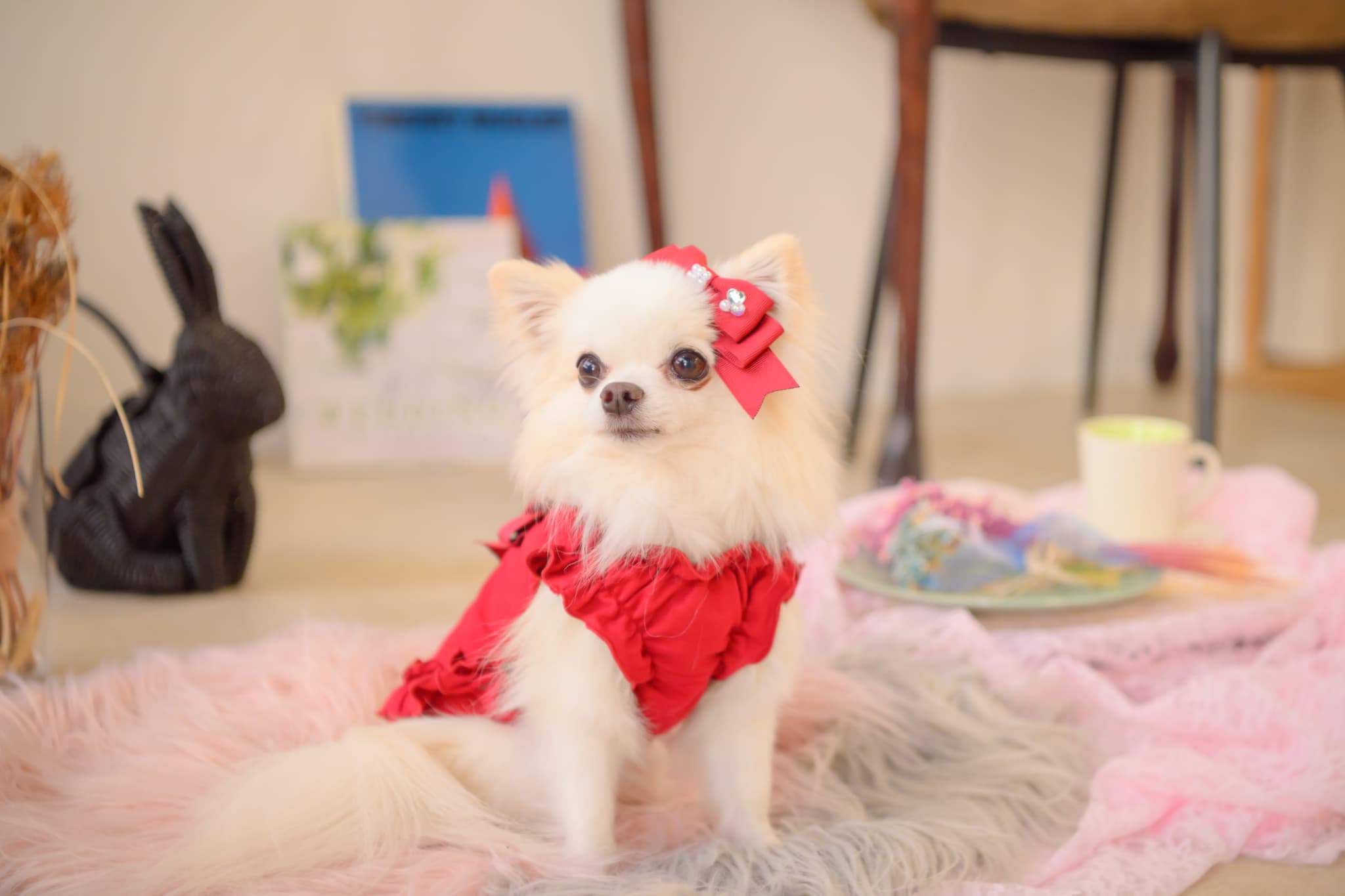 リボンカットソーワンピース