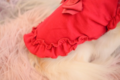 リボンカットソーワンピース