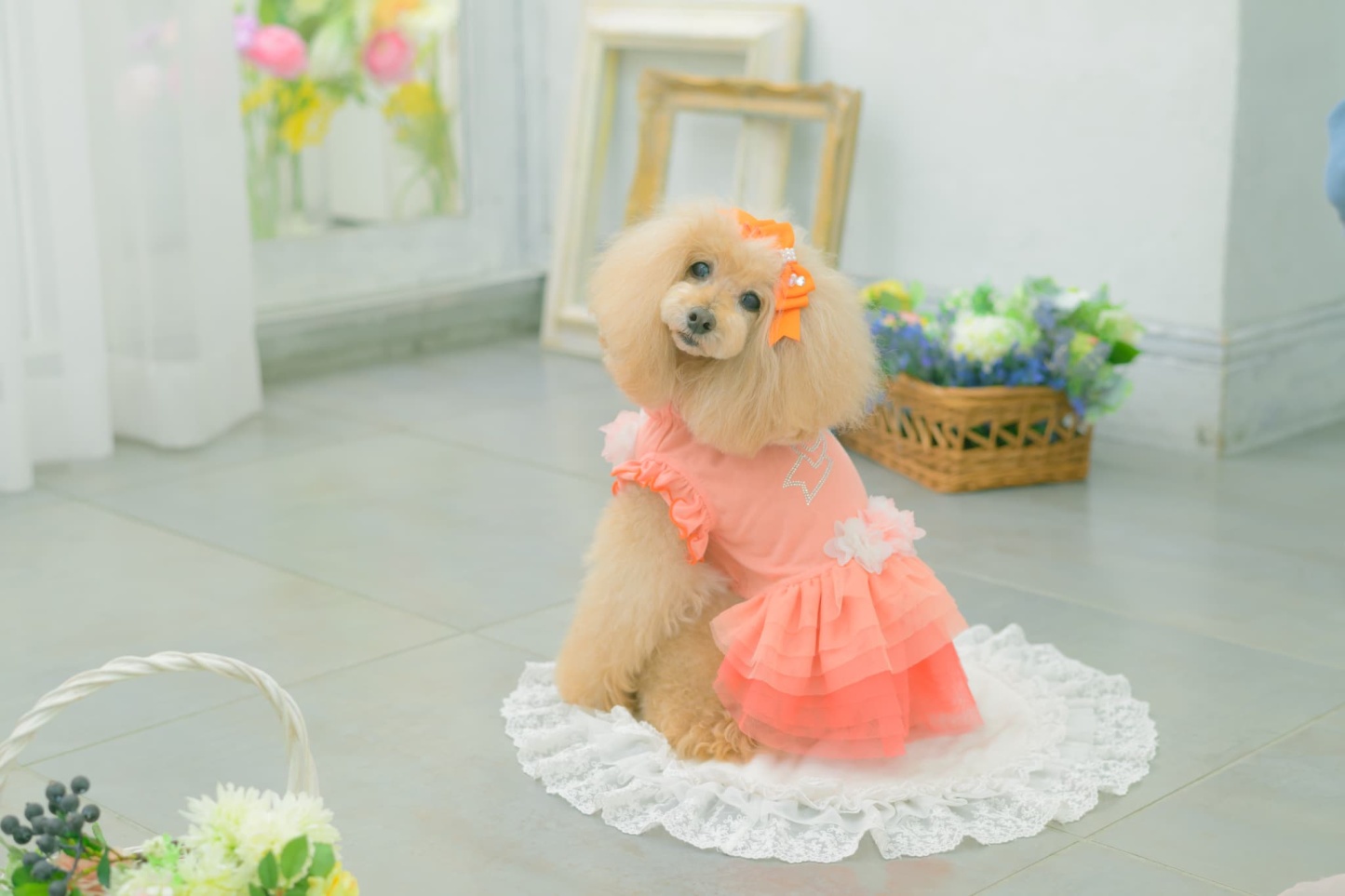 1183チュールバレリーナワンピース