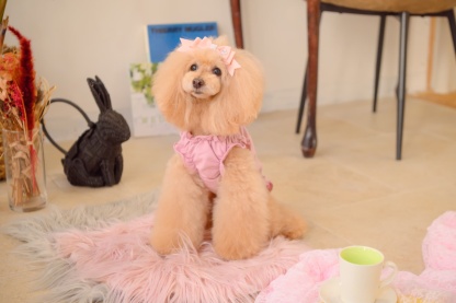 リボンカットソーワンピース