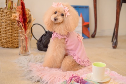 リボンカットソーワンピース