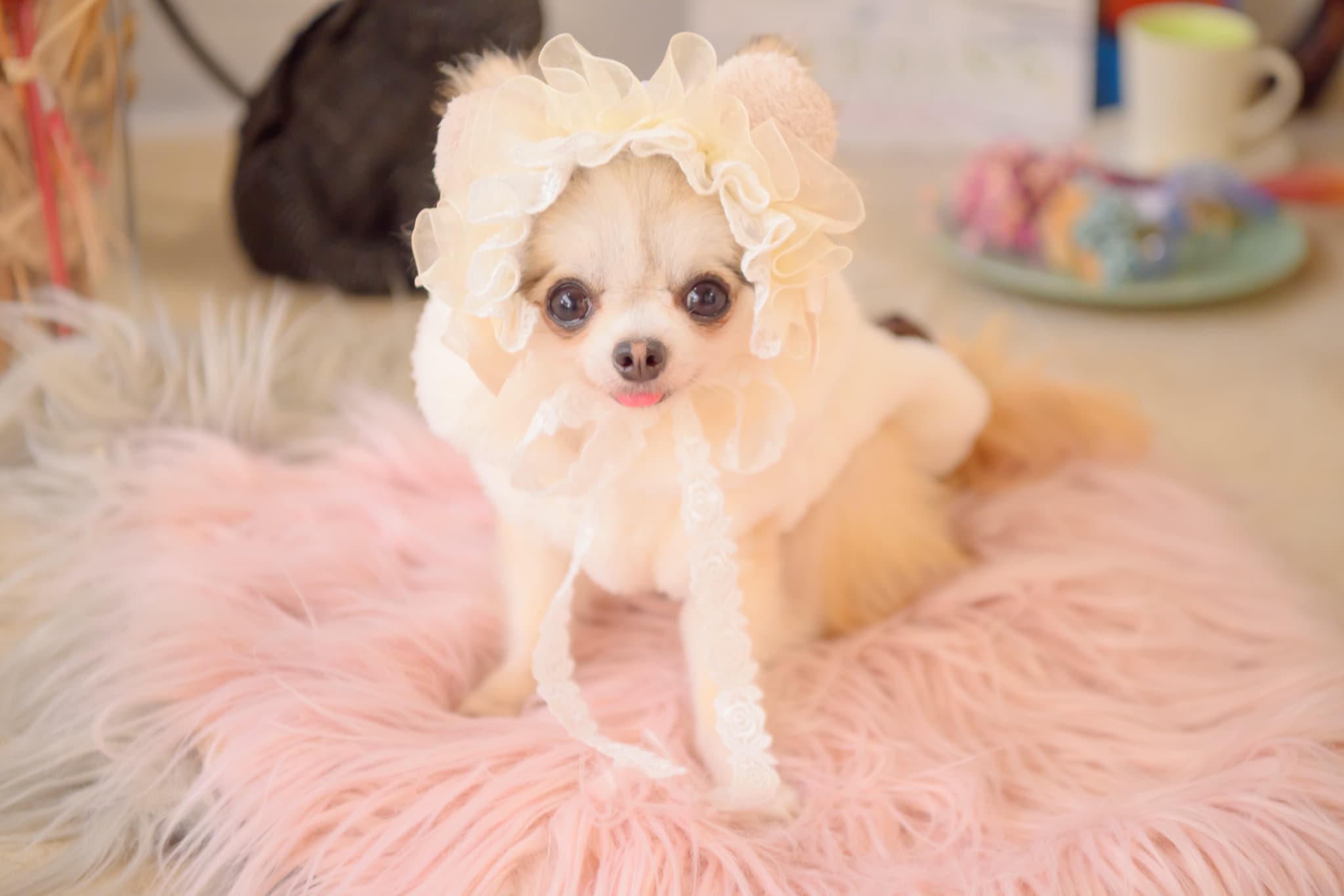 HD-033 ベビくまヘッドドレス