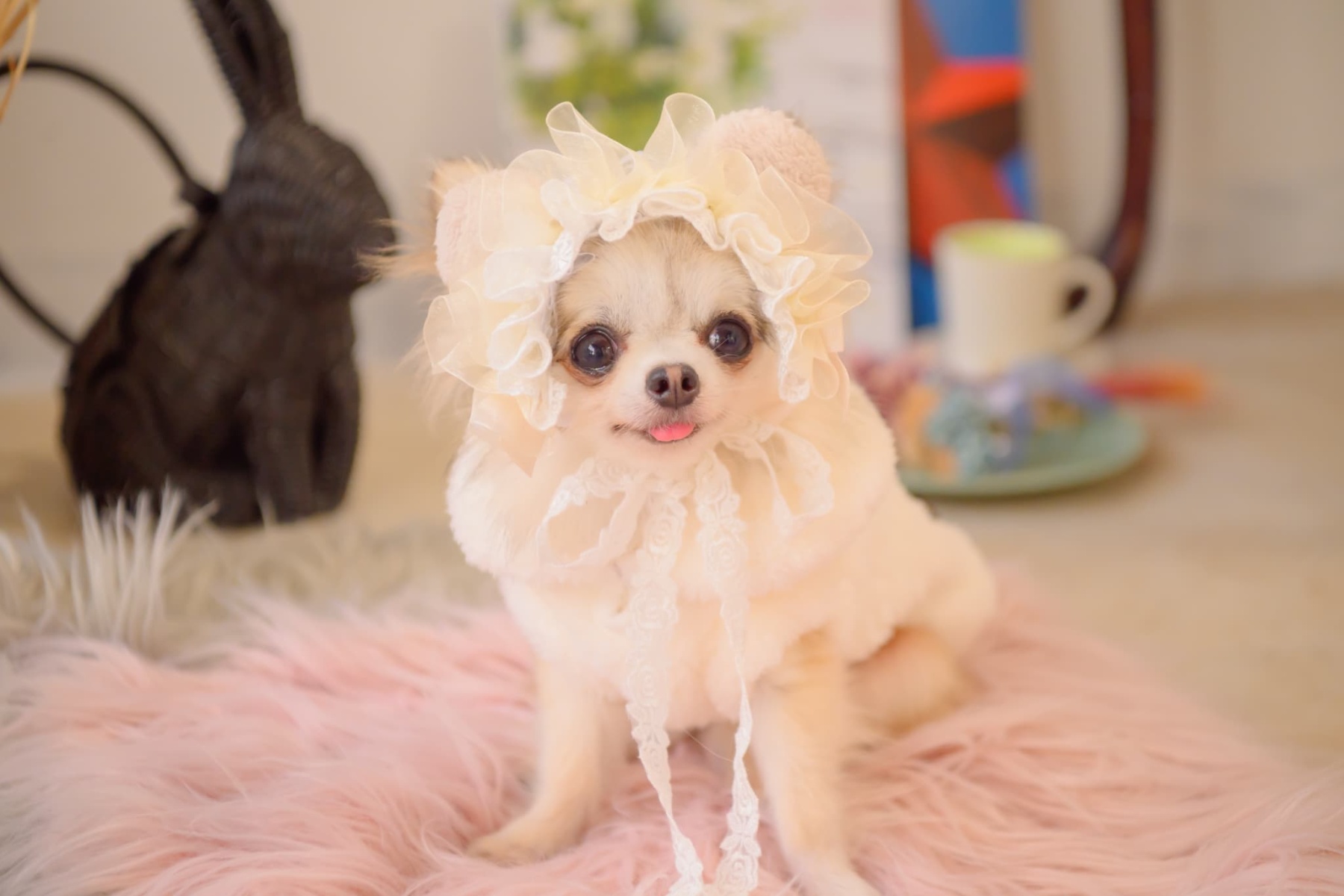 HD-033 ベビくまヘッドドレス