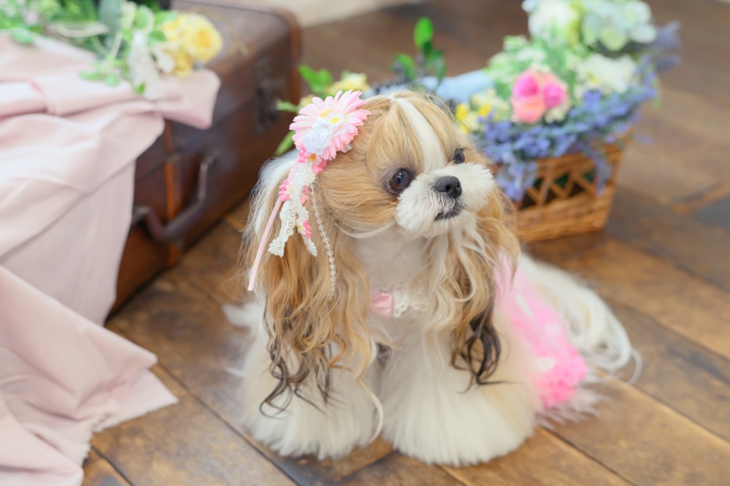 ガーベラ ロングバレッタリボン