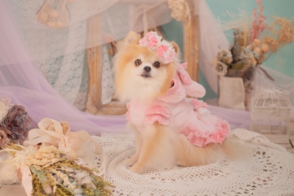 1173冬うさぎファーワンピース