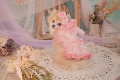 1173冬うさぎファーワンピース