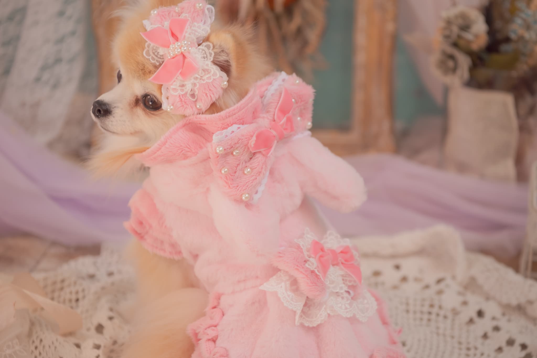 1173冬うさぎファーワンピース – 【公式】CanNana（きゃんナナ