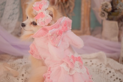 1173冬うさぎファーワンピース