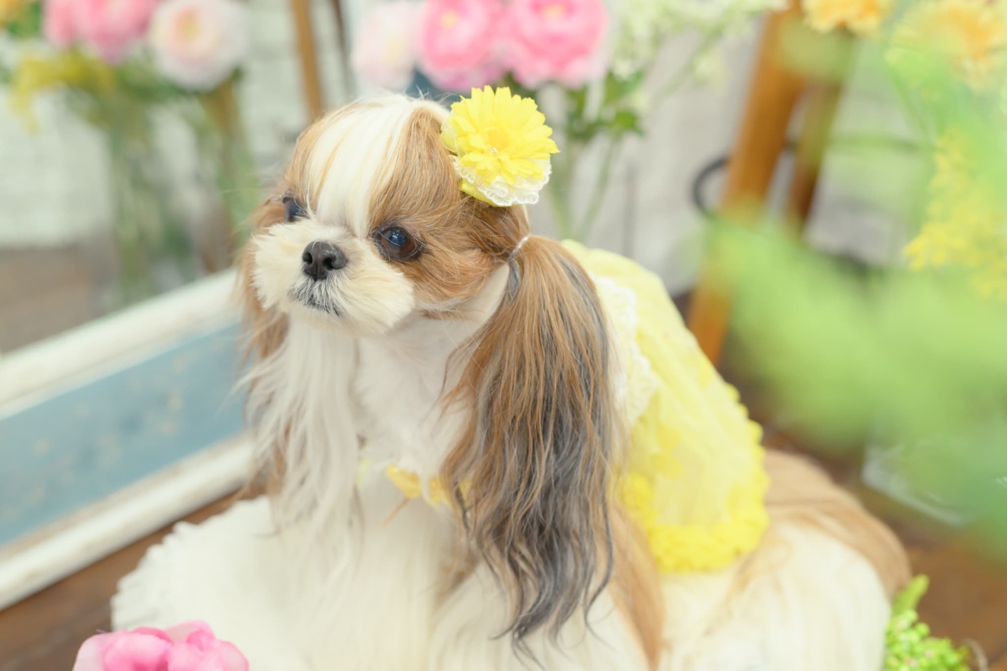 ガーベラ バレッタリボン