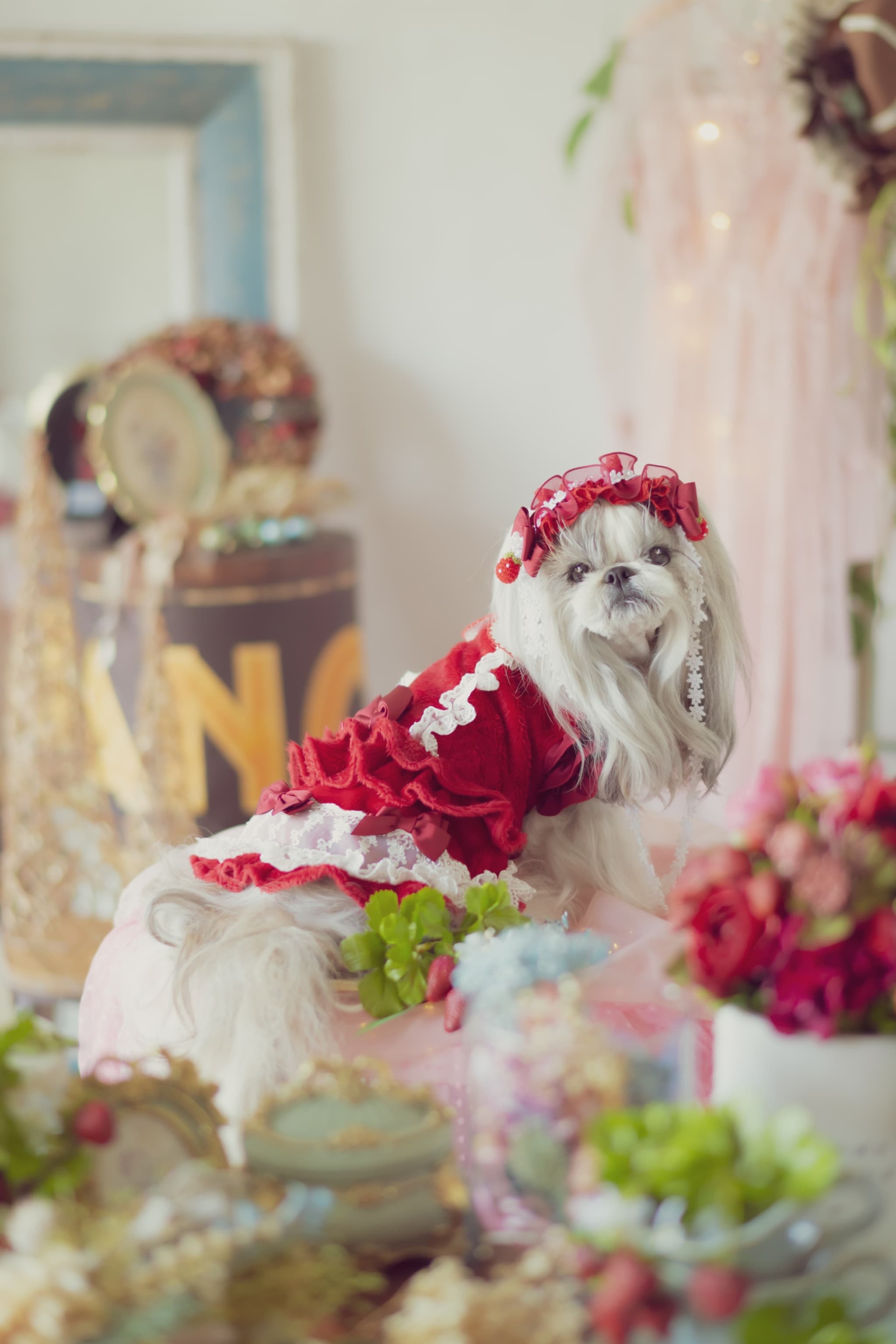 冬いちごスウィートワンピース