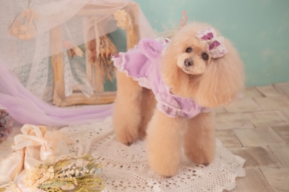 LB-324ファーデコレーションバレッタリボン