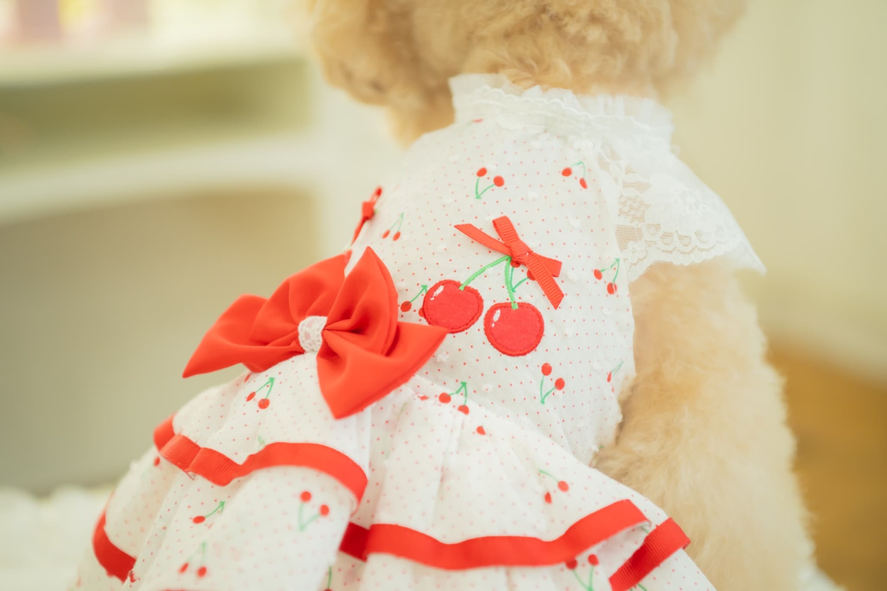 犬 犬服 春夏 さくらんぼフレアーワンピース レース さくらんぼアップリケ チェリー かわいい フリフリ 軽い 涼しい 小型犬 女の子 レッド ピンク 01-1155