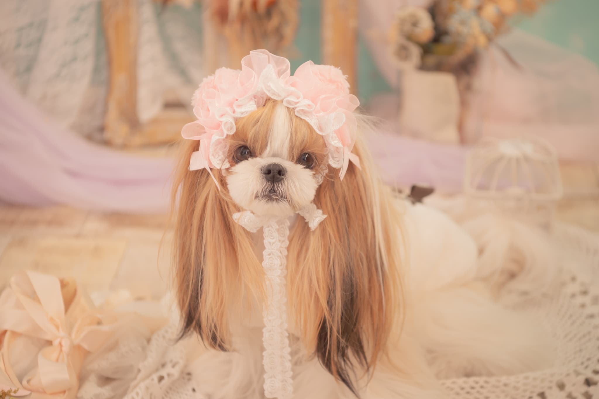 HD-033 ベビくまヘッドドレス