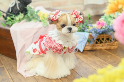 1182オリジナルさくらんぼ柄COOLワンピース