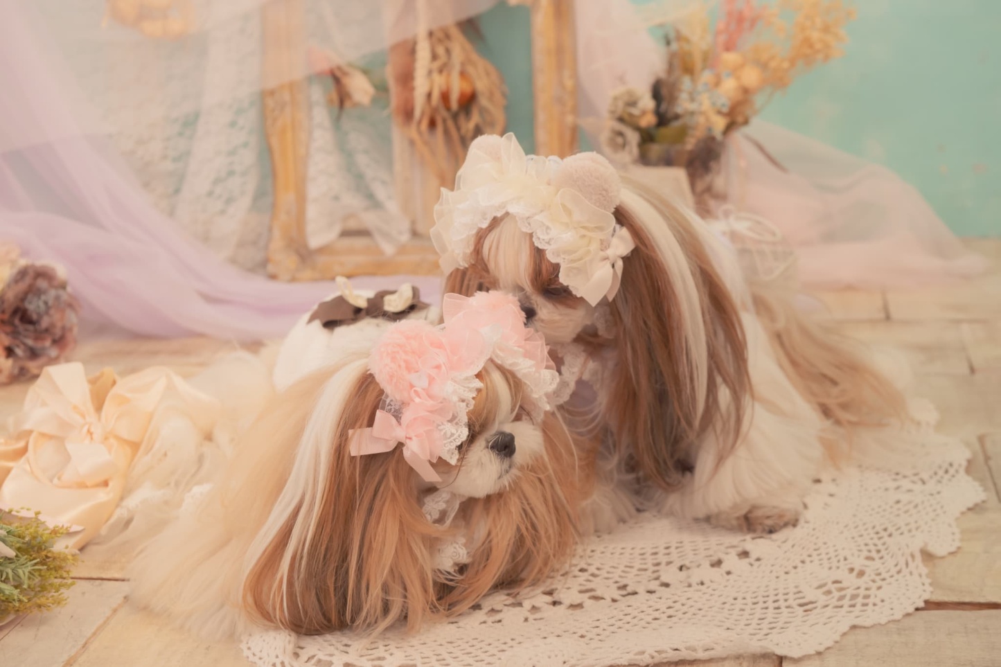 HD-033 ベビくまヘッドドレス