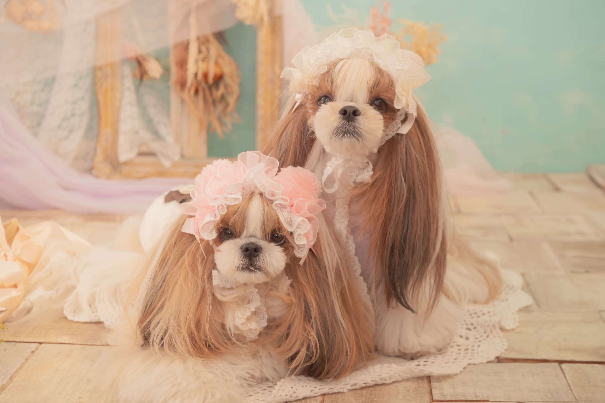 HD-033 ベビくまヘッドドレス