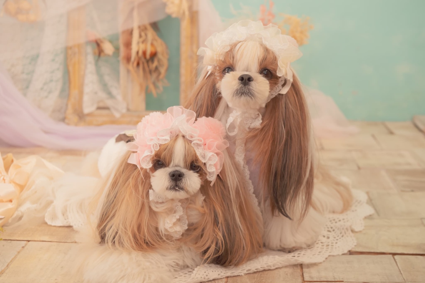 HD-033 ベビくまヘッドドレス