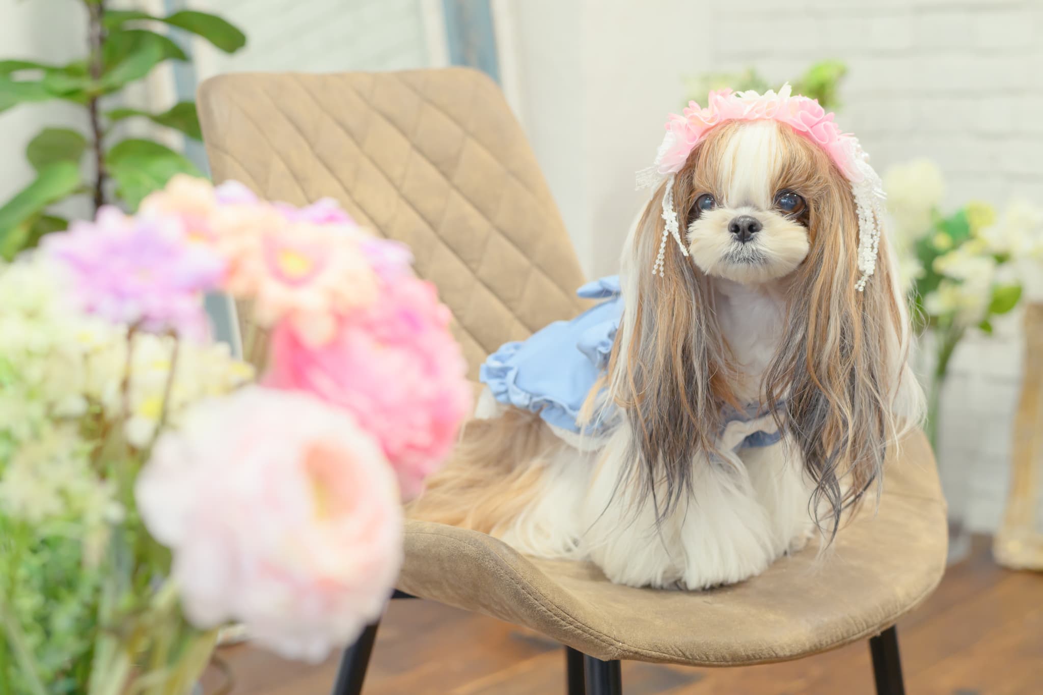 春のガーベラ ヘッドドレス