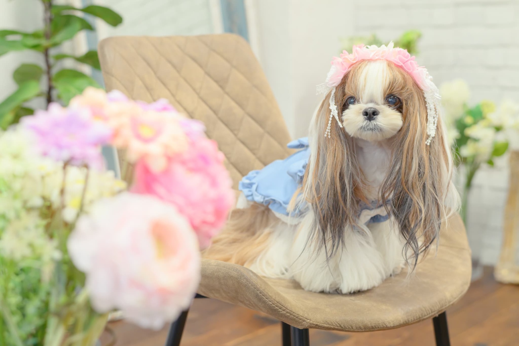 春のガーベラ ヘッドドレス