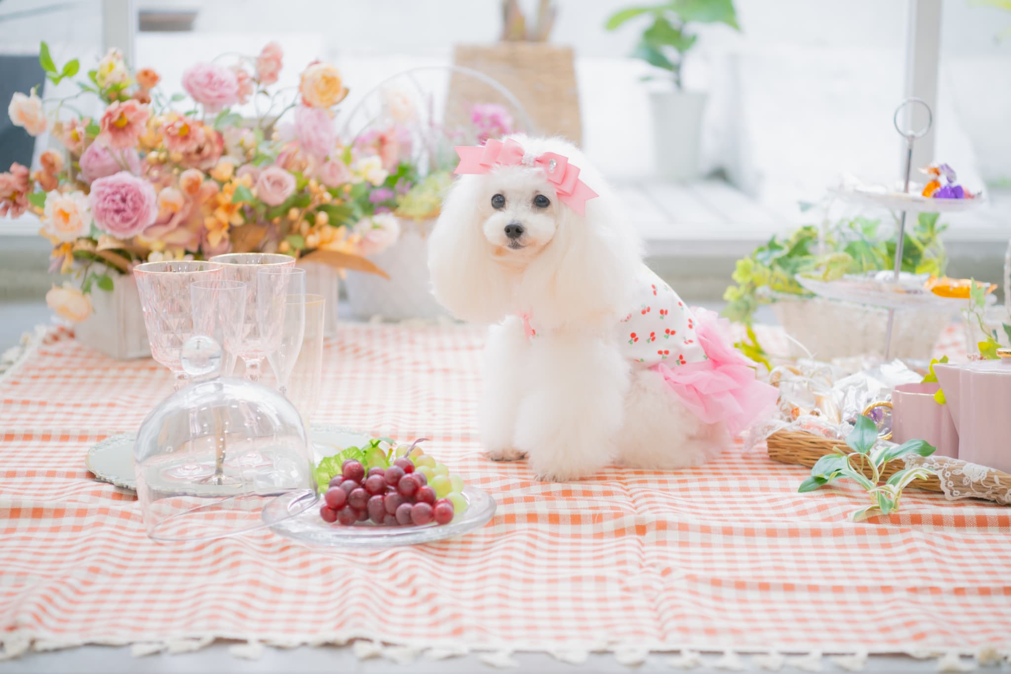 さくらんぼカットソードッキングワンピース